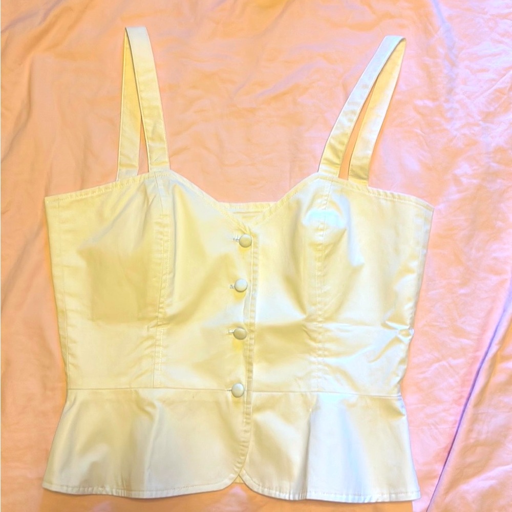 HORSES bustier in chalk! New with tags.